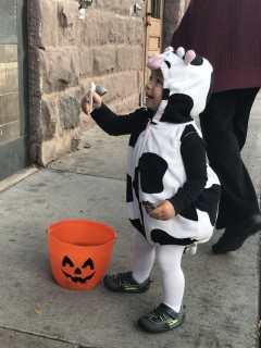 picture of Children's Halloween