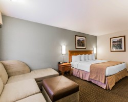 picture of Quality Inn
